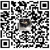 中醫(yī)強健“四梢”延年益壽