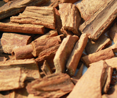 中醫(yī)推薦補氣血的妙方